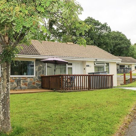 Villa Y Bwthyn Bach Aberaeron Esterno foto